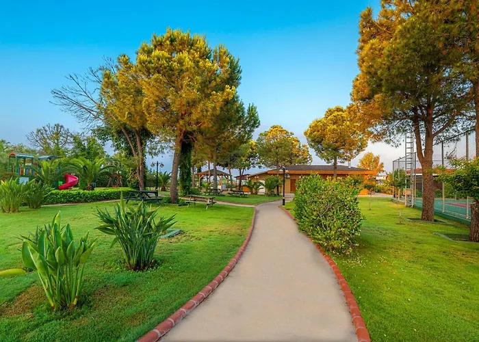 Sidemarin Kirman Premium