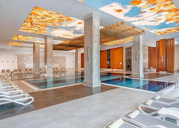 Sidemarin Kirman Premium